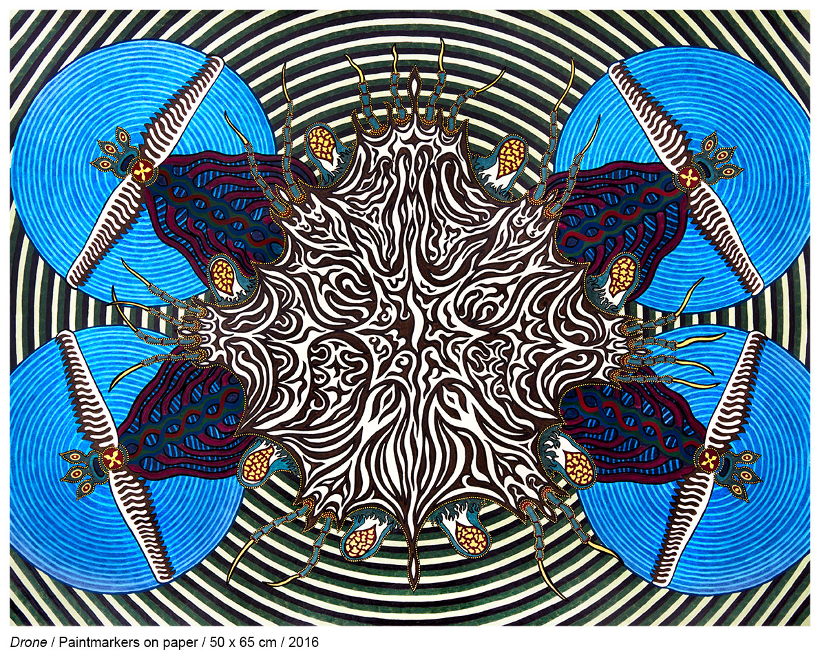 2016-Drone-crab